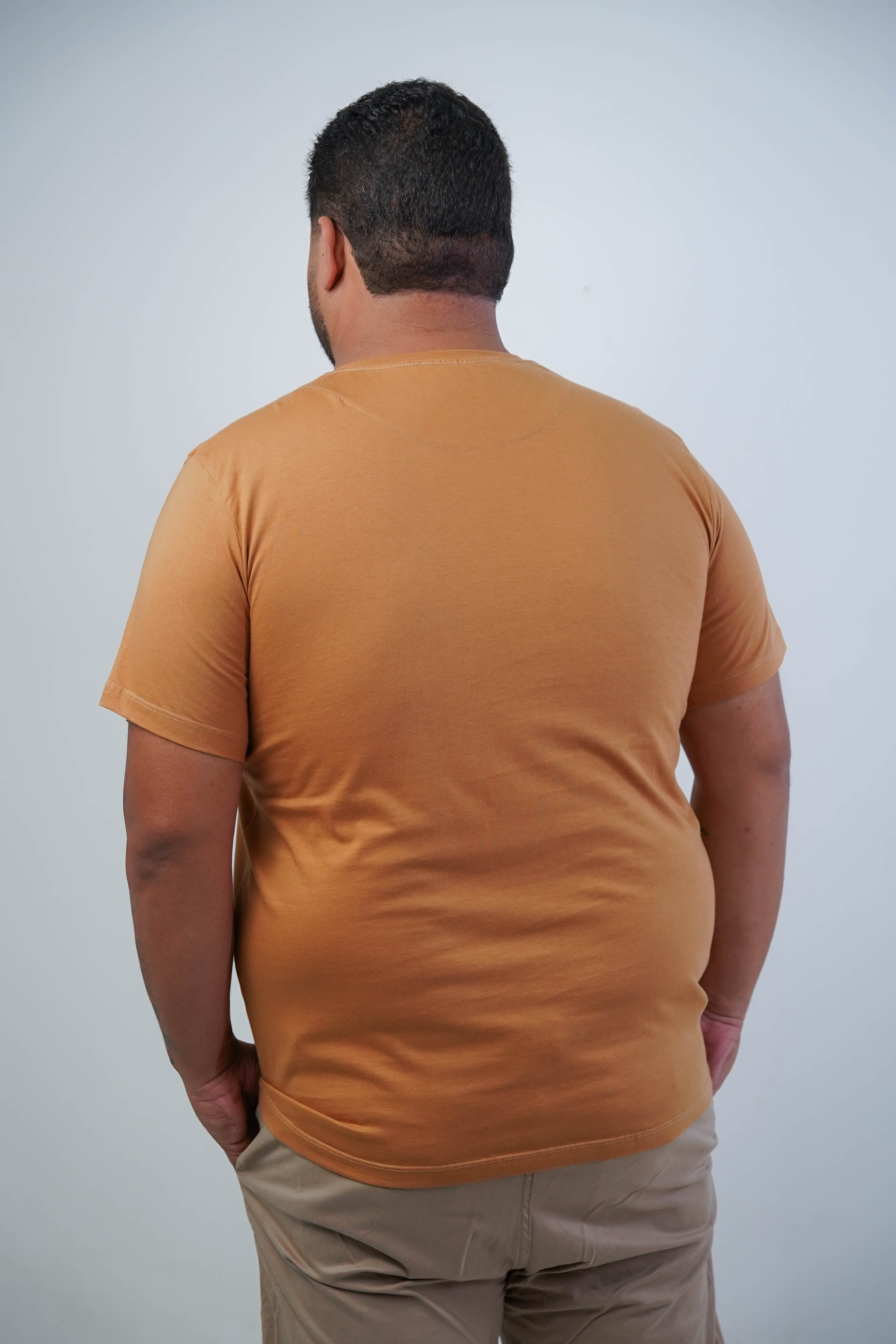 CAMISETA BÁSICA GOLA REDONDA LISA PLUS