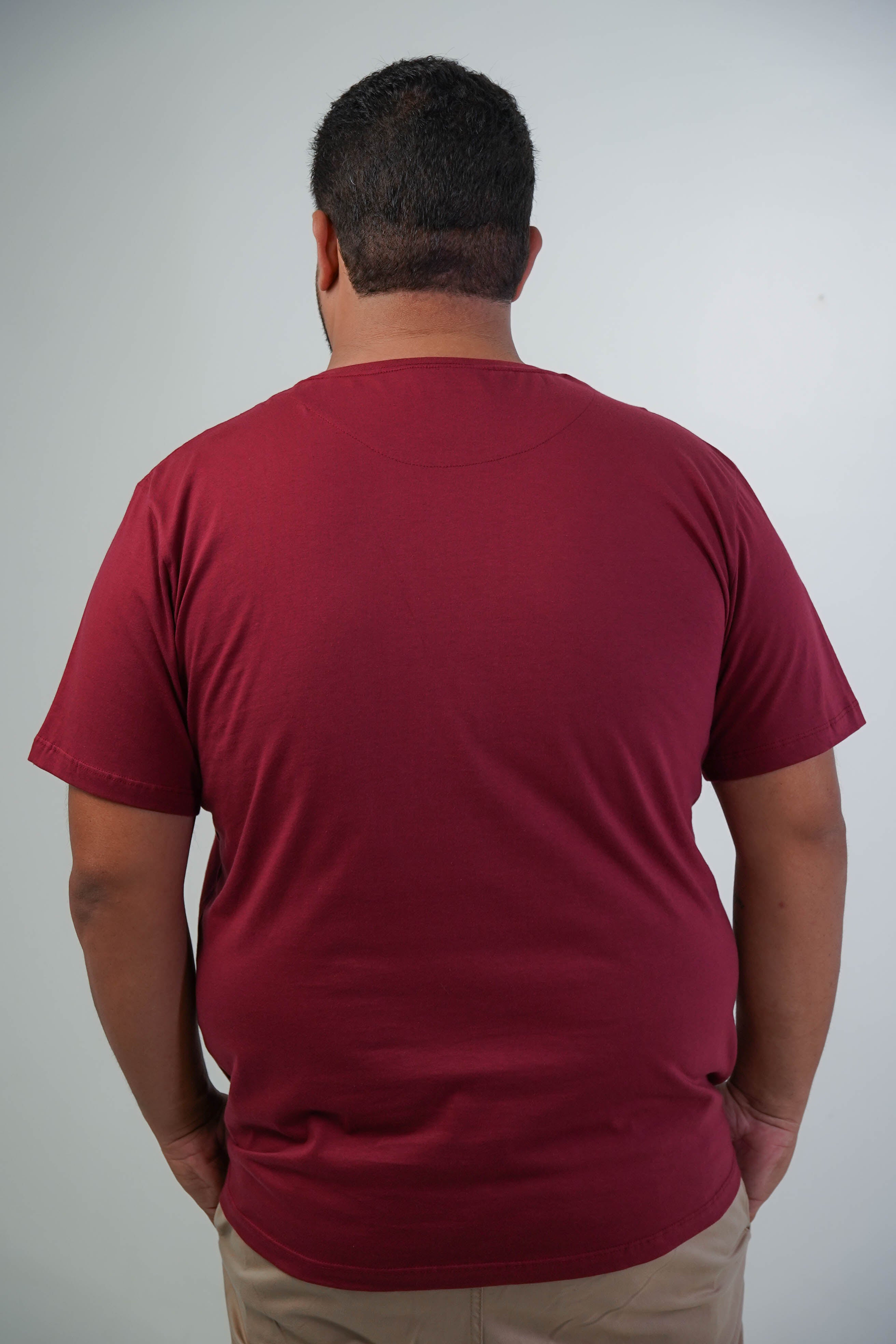 CAMISETA BÁSICA GOLA REDONDA LISA PLUS